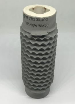 1R5 70W %10 BORU DİRENÇ