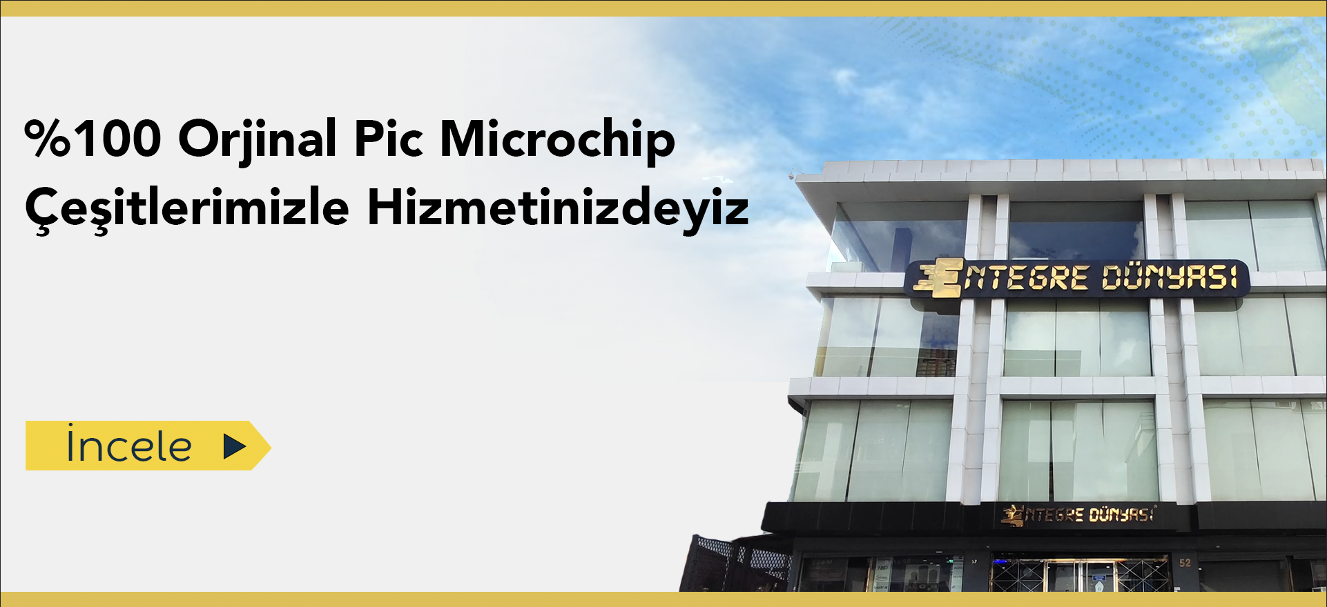 pic microchip